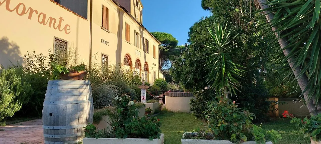 Locanda Menabuoi Donoratico